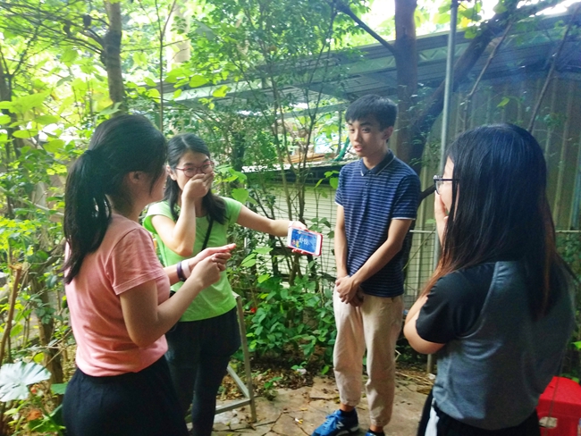 1535527636940550.jpg 460194007818243189.jpg