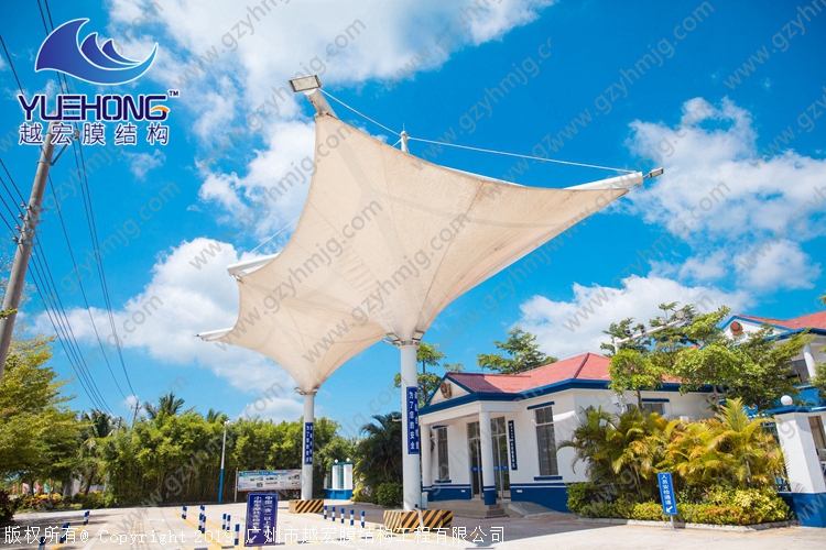 1601711721664070.jpg 6.jpg